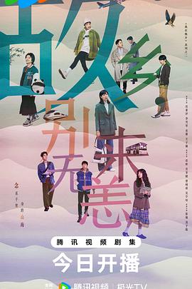 洛宁seo优化怎么选